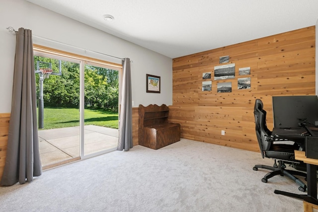 4514 Mcallister Ave NE, Saint Michael, MN 55376 - office with wooden walls and carpet flooring