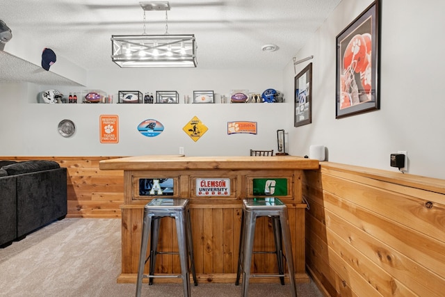 4514 Mcallister Ave NE, Saint Michael, MN 55376 - indoor dry bar with carpet, wood walls, and a textured ceiling