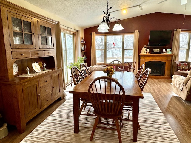 dining area with lofted ceiling, a healthy amount of sunlight, a fireplace, and wood finished floors