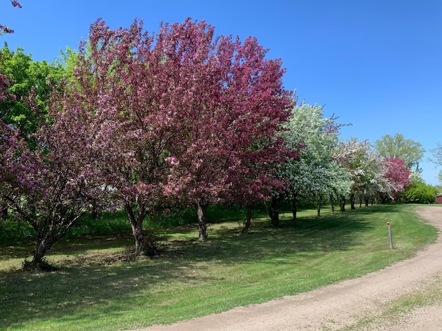 surrounding community featuring a lawn