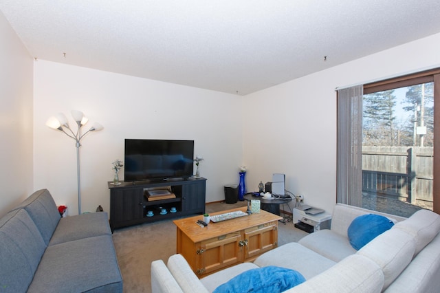 living area with light carpet