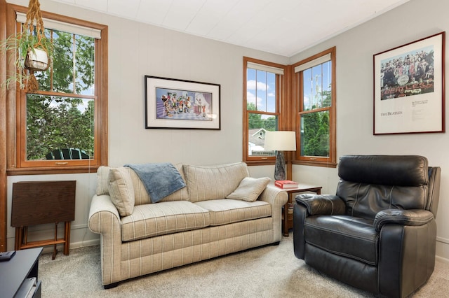 view of carpeted living room