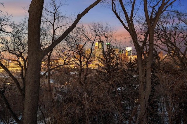 view of nature at dusk