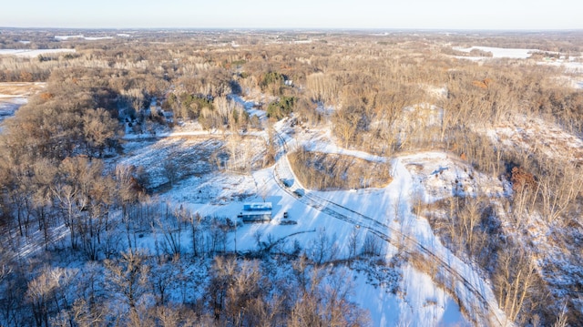 aerial view with a forest view