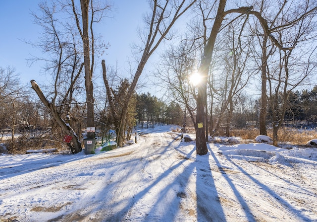 view of yard layered in snow