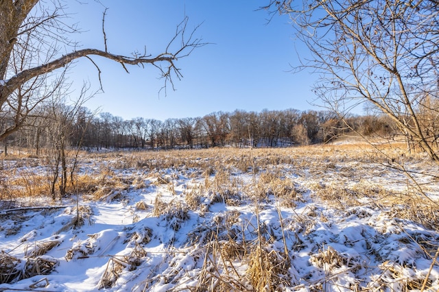 view of snow covered land