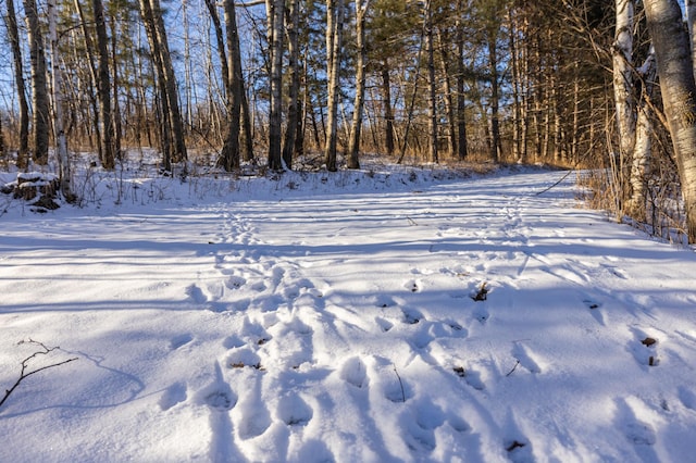 view of snowy yard