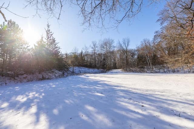 view of snowy yard