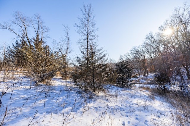 view of snow covered land