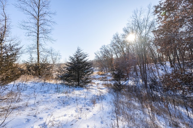 view of snowy landscape