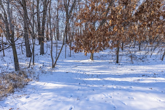 view of snowy yard