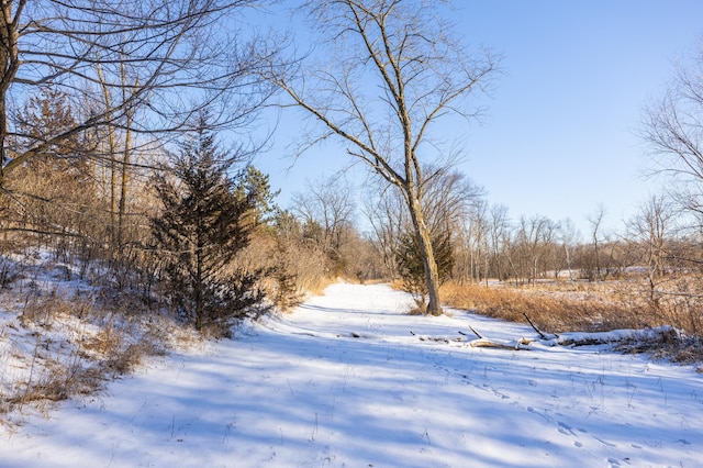 view of yard covered in snow