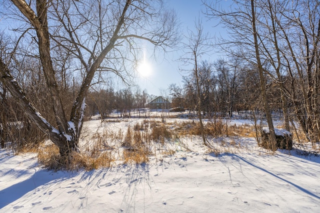 view of yard covered in snow