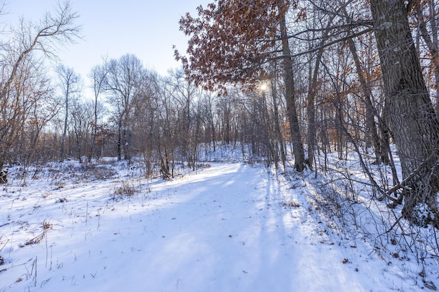 view of yard layered in snow