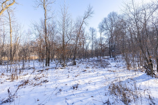 view of snowy landscape