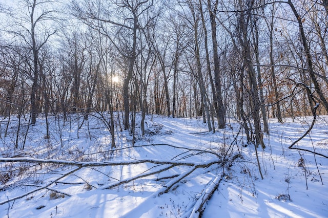 view of snowy landscape