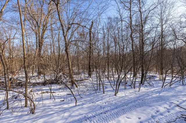 view of yard layered in snow