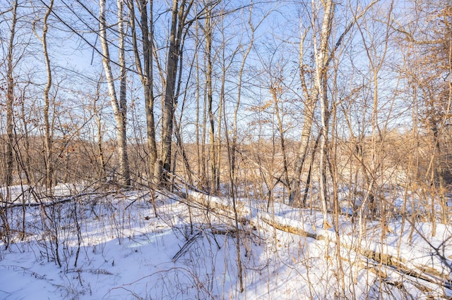 view of snowy landscape