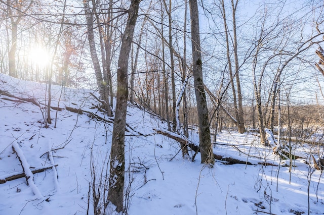 view of snow covered land