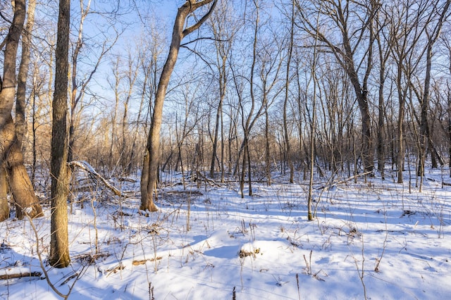 view of snow covered land