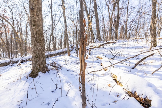 view of snow covered land