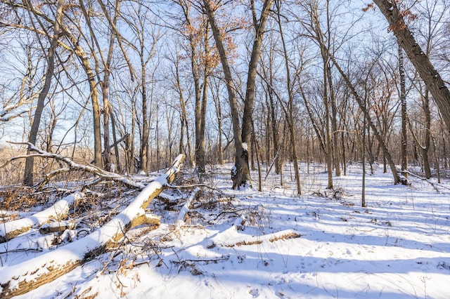 view of snow covered land