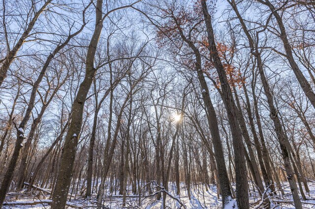 view of snowy landscape