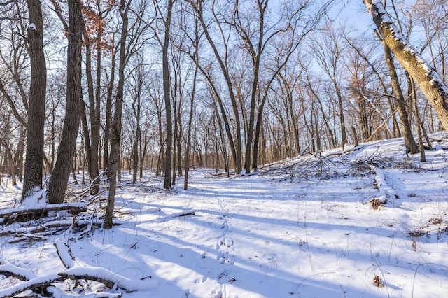 view of yard covered in snow