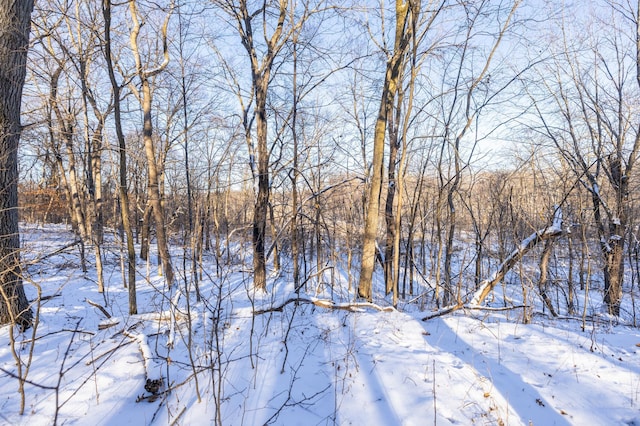 view of snowy landscape