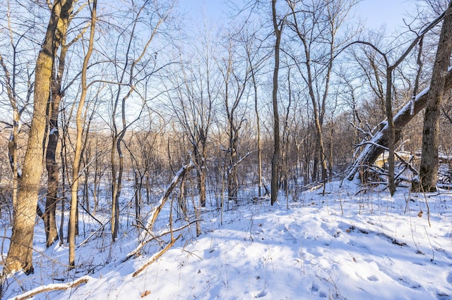 view of snowy landscape