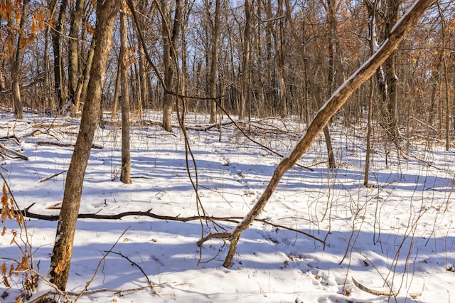 snowy landscape featuring a forest view