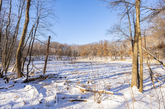 yard layered in snow featuring a forest view