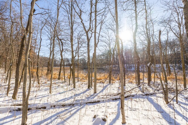 view of snow covered land