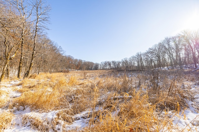 view of nature featuring a view of trees