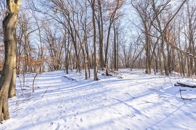 view of yard layered in snow