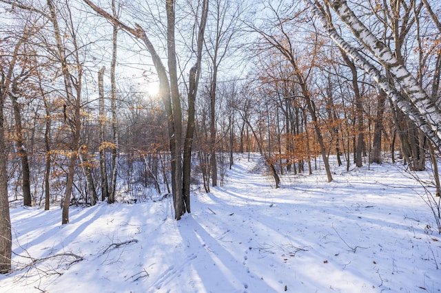 view of yard covered in snow