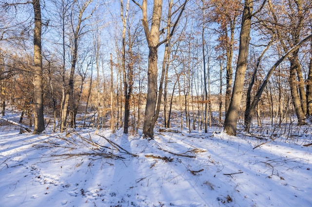 view of yard layered in snow