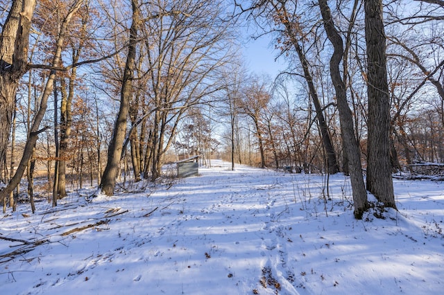 view of yard covered in snow