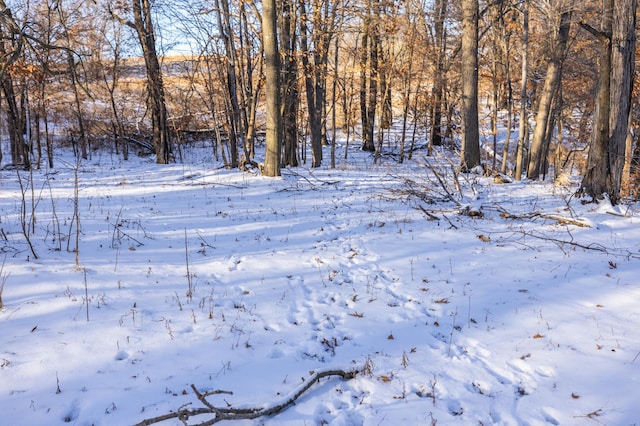 view of snowy landscape