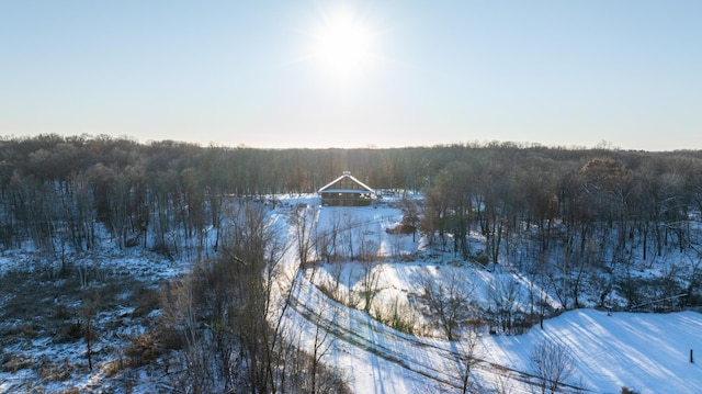 snowy aerial view with a view of trees