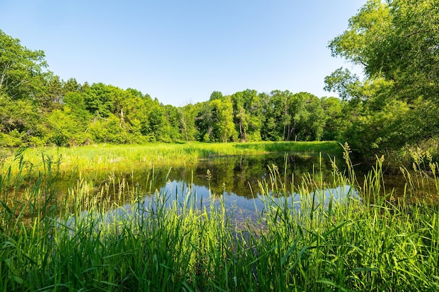 17910 27th Ave, Fair Haven Twp, MN 55320 - water view with a heavily wooded area