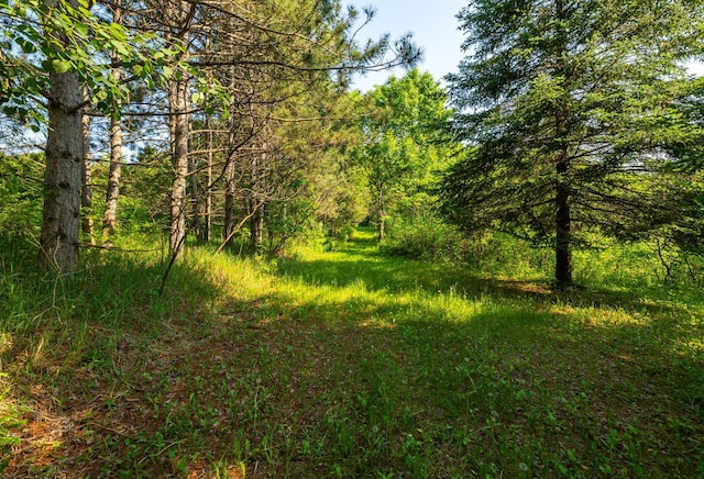17910 27th Ave, Fair Haven Twp, MN 55320 - view of wooded area