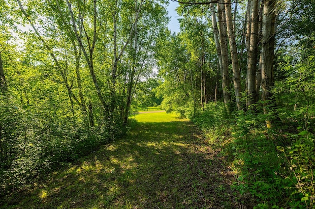 17910 27th Ave, Fair Haven Twp, MN 55320 - view of woods