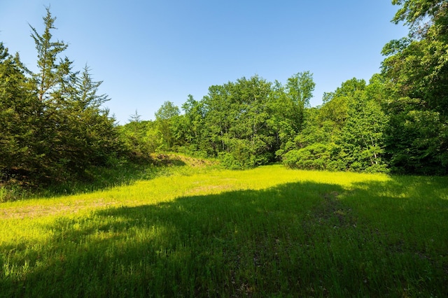 17910 27th Ave, Fair Haven Twp, MN 55320 - view of yard with a forest view