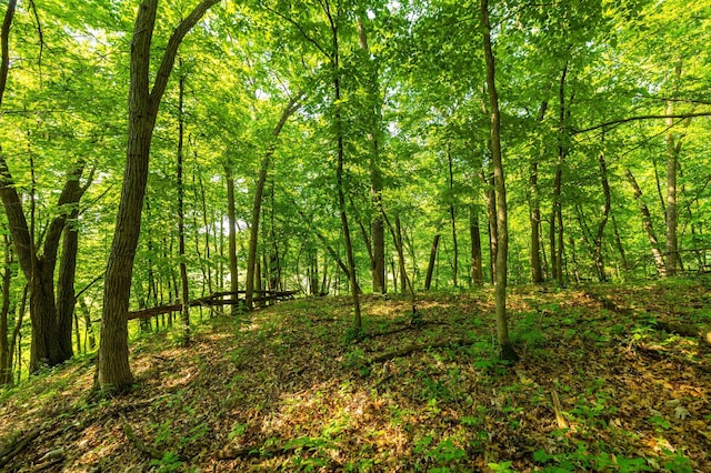 17910 27th Ave, Fair Haven Twp, MN 55320 - view of woods