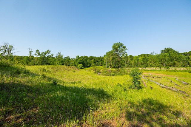 17910 27th Ave, Fair Haven Twp, MN 55320 - view of wooded area featuring a view of rural / pastoral area