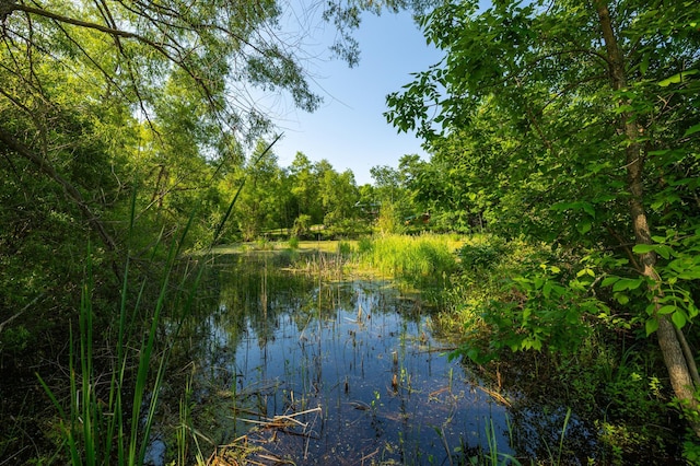 17910 27th Ave, Fair Haven Twp, MN 55320 - water view