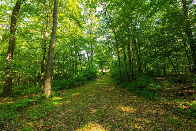 17910 27th Ave, Fair Haven Twp, MN 55320 - view of woods