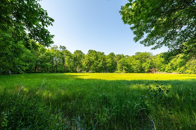 17910 27th Ave, Fair Haven Twp, MN 55320 - view of yard with a wooded view
