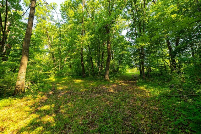 17910 27th Ave, Fair Haven Twp, MN 55320 - view of wooded area